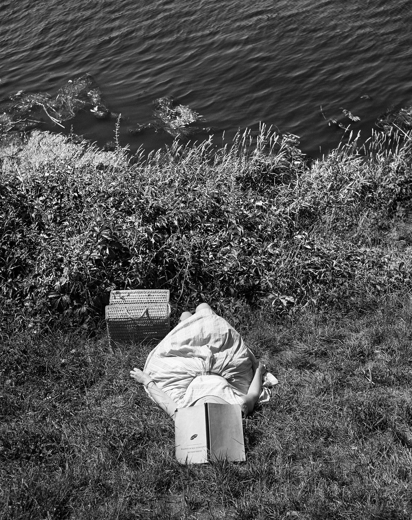 Oberrhein, Lesepause am Ufer
