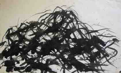 Max Uhlig: Vegetationsformation, 1977