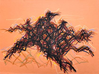 Max Uhlig: Ancien cep de vigne (détail), Mai 2009