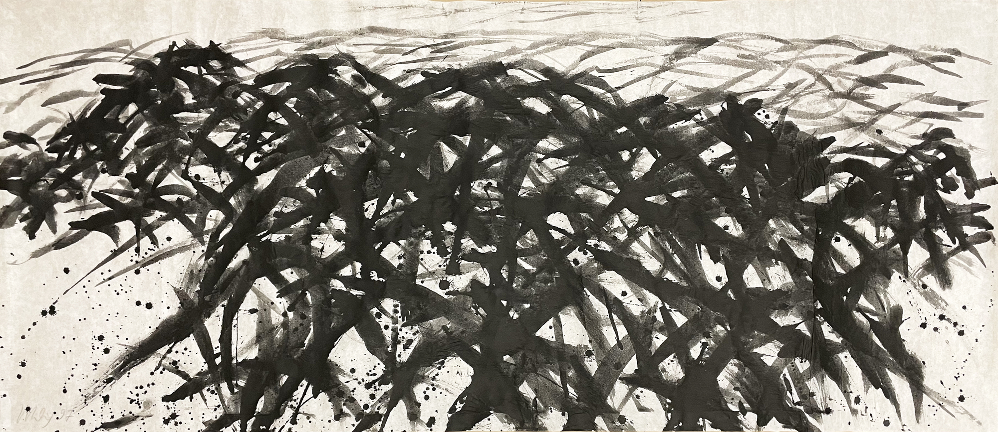 Detail de Bois