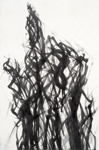 Max Uhlig: Cepdesigne, 1995