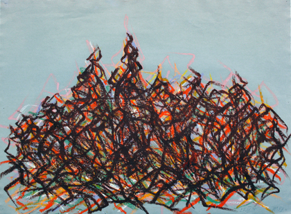 Groupe des vignes 2010